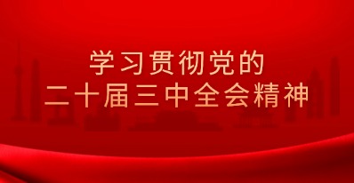 学习贯彻落实党的二十届三中全会精神